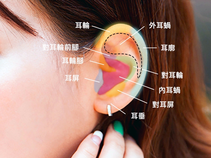 戴上真的美麗翻倍唷！明星們都愛的耳釘區域是哪裡？ Wishnote 所有美好如你所願