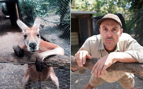 皮爾動物園飼養員David Cobbold為了讓大家在親近動物之餘,能更了解動物、愛護動物,因而開始了這一項可愛的小計畫,鼓勵員工們跟他一起模仿動物的各種姿態和神情,並拍下對比照片,畫面格外幽默逗趣!