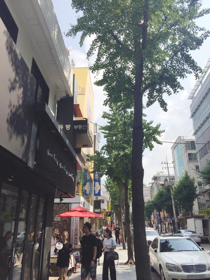 一提到韓國新沙洞的林蔭大道,我們首先想到的就是時尚、美容潮流、美食店,這裡深受韓國年輕人們的喜愛。但是不知道什麼時候起,這裡也出現了一些家居裝飾品店,來這裡掏寶的人越來越多了,也不局限於年輕人。