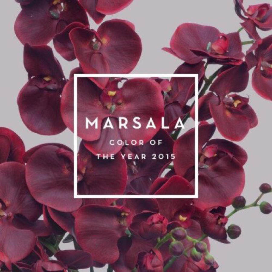 專註於色彩研究的Pantone日前也發布了2015主打色彩——Marsala紅。這是一種色調偏暗,帶點泥土色調的酒紅色,因源於義大利語瑪薩拉葡萄酒而被稱作瑪薩拉紅。這種自然和諧的色彩,能讓人看起來既成熟內斂,又自然親和,絕對是製造霸氣氣場的不二之選。