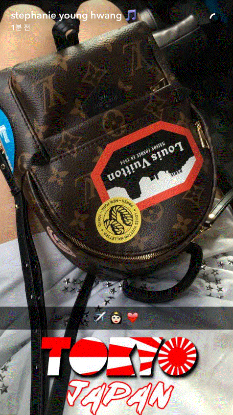再加上使用SNAPCHAT時,在日本TOKYO東京的字樣預設特效上出現了日本二戰時期的代表「旭旗」,而惹怒了韓國網友,認為Tiffany親日、不尊重韓國