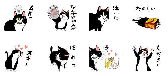 超有事的傲娇猫动画贴图合辑