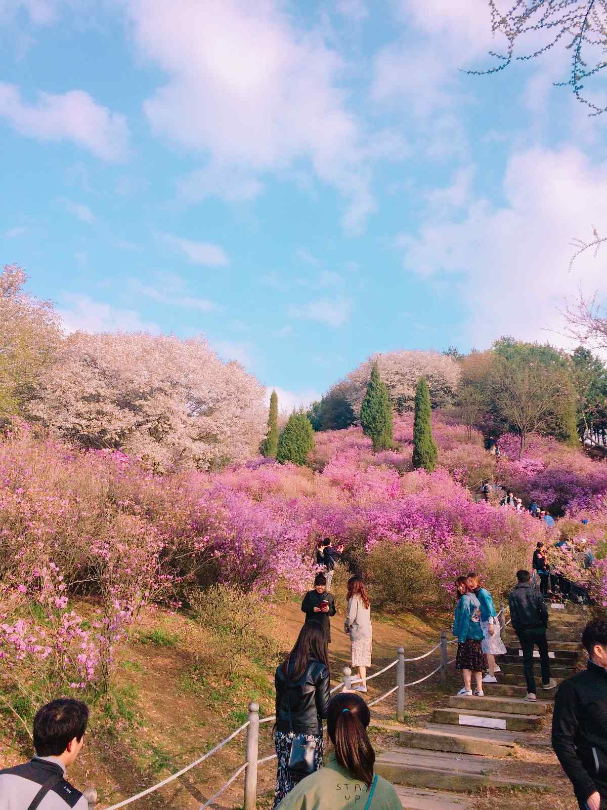 富川超级足料的海鲜锅,绝对是试过一次就会爱上的味道,而且来的全都是